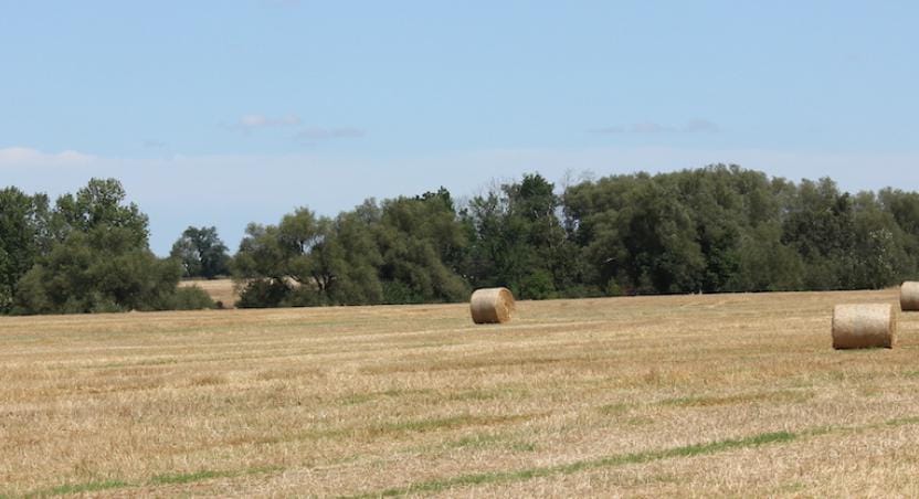 farm field