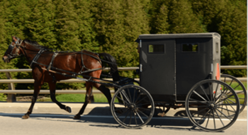 horse-drawn buggy on road