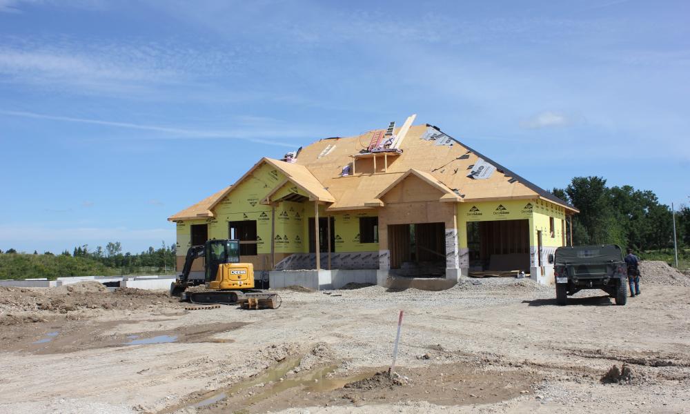 New Development