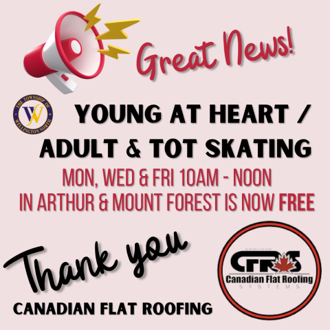 Image of Free Adult and Tot Skate Sponsorship